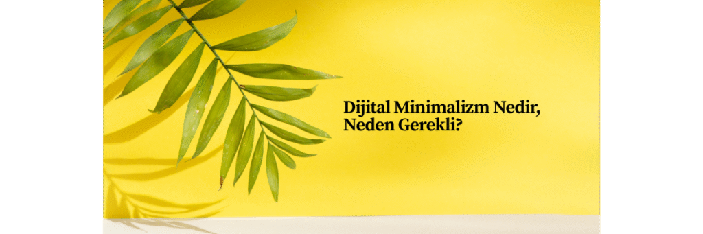 Dijital Minimalizm Nedir, Neden Gerekli?